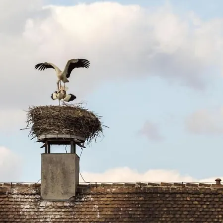 In Niedergurig Mit Grill- Sauna Und Gart By Interhome Apartamento