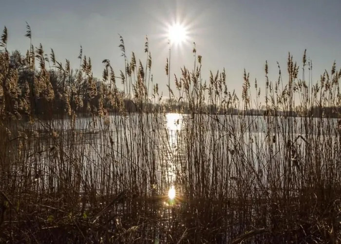 In Niedergurig Mit Grill- Sauna Und Gart By Interhome